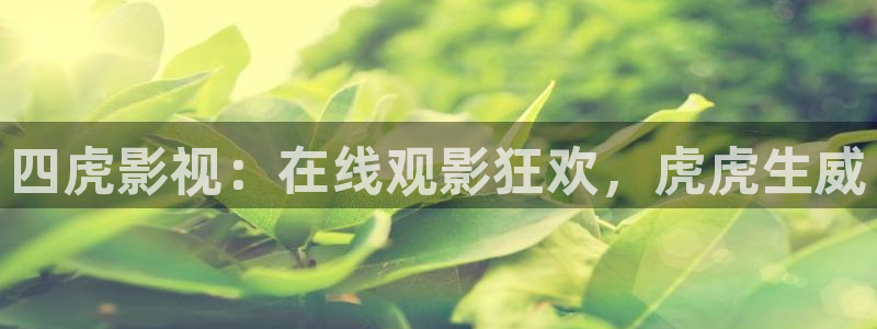 橘子与橙子