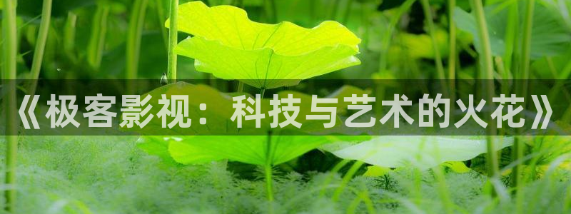 橘子视频app在线下载