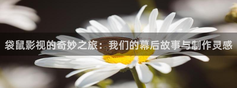 橘子和橙子