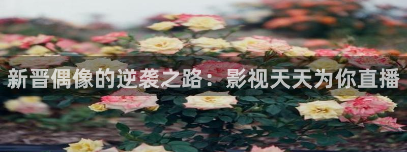 橘子影视破解版