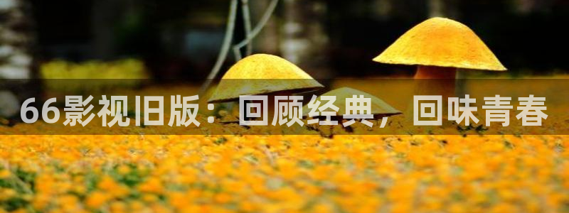 橘子影视免费